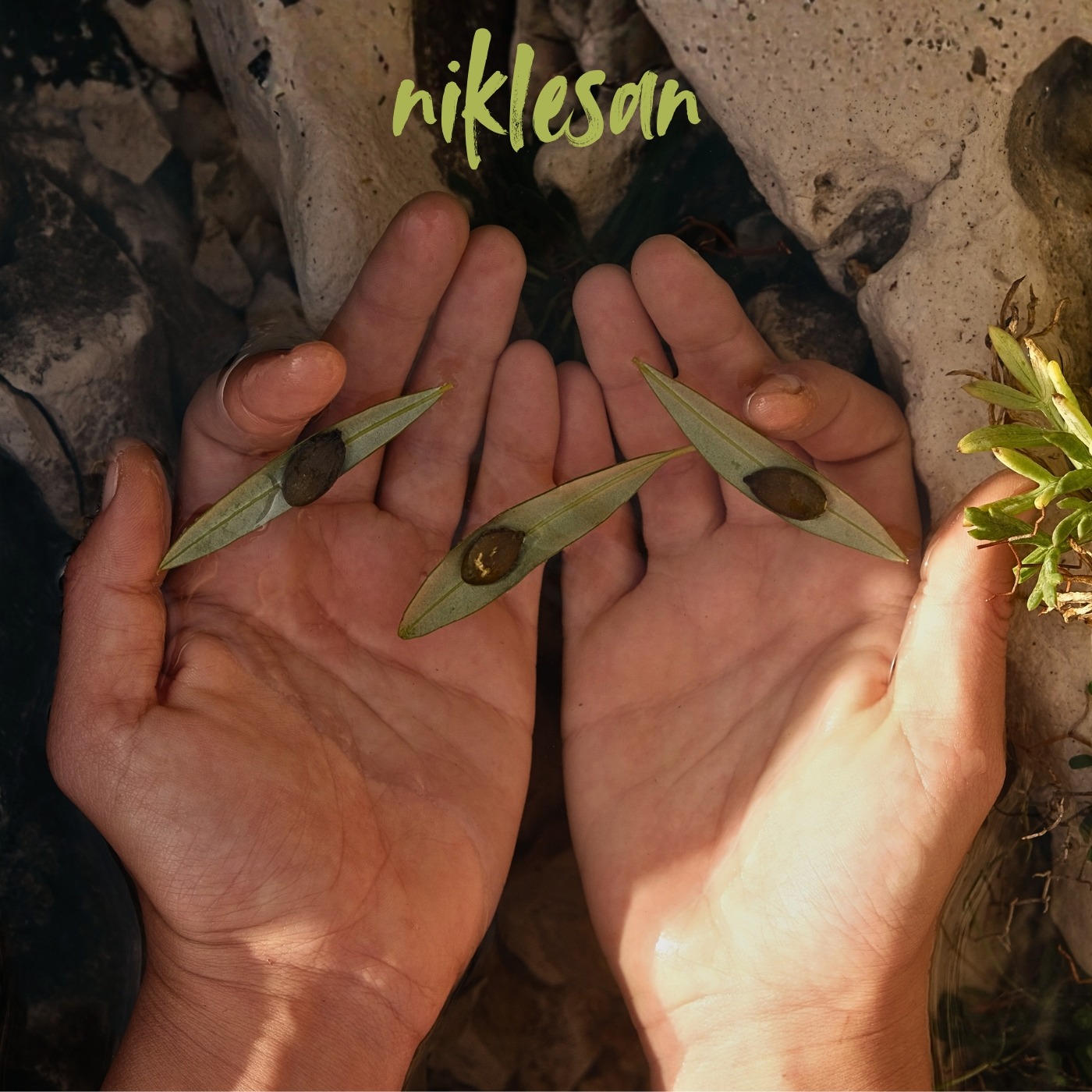 NIKLESAN